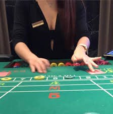 oz365 bet